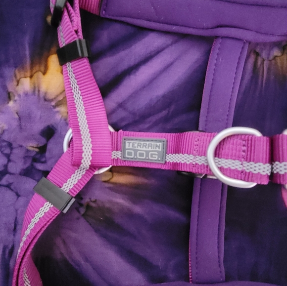 TERRAIN D.O.G DOG HARNESS. - Picture 3 of 5